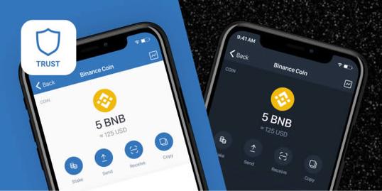 在Trust Wallet官方网站获取正版软件的实用方法与安全下载技巧